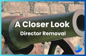 A Shareholder's Guide To Director Removal Under The Companies Act 2016