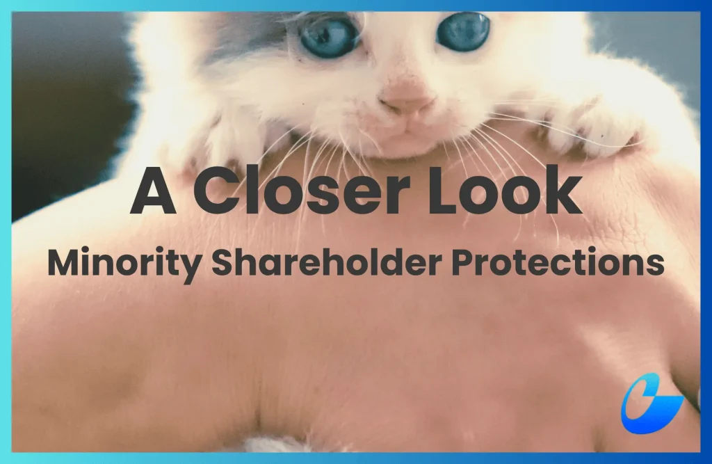 a complete guide to How To Protect Minority Shareholders in malaysia