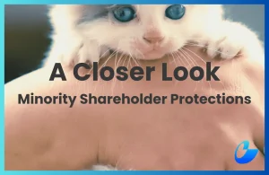 a complete guide to How To Protect Minority Shareholders in malaysia