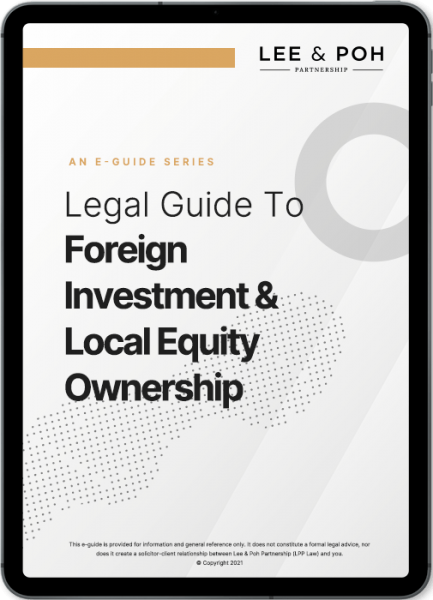 Foreign Investment Eguide - ipad mockup